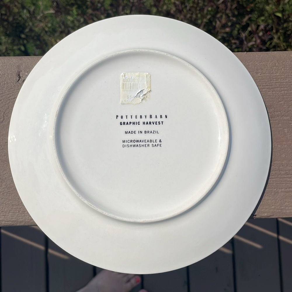 Pottery Barn Graphic Harvest 8.25” Diameter Plates - Set of 2 - Picture 5 of 9